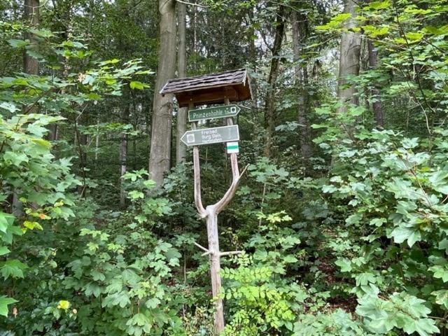 Das Jagdhaus Waldidyll Erzgebirge Hartenstein  Екстериор снимка