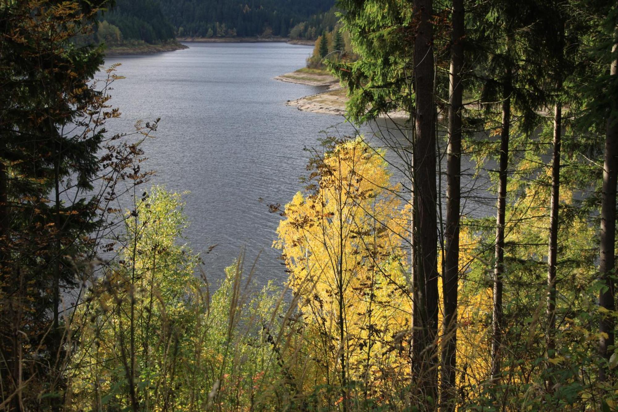 Das Jagdhaus Waldidyll Erzgebirge Hartenstein  Екстериор снимка